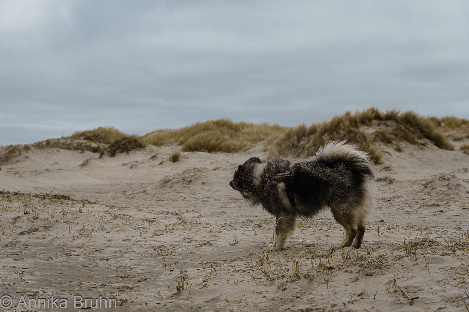 Erst einmal schütteln der Sand muss weg!